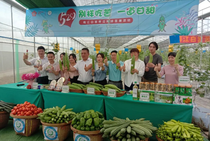梅江白宮苦瓜網(wǎng)絡(luò)直播活動(dòng)，體驗(yàn)‘別樣吃苦，一道甘甜’